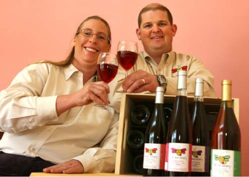 Leah Hogsten  |  The Salt Lake Tribune
Jay and Lori Yahne are owners of the Hive Winery in Layton..