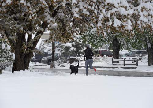 Scott Sommerdorf   |  The Salt Lake Tribune
A jogger and her dog run down 2000 East after a spring snowfall in Salt Lake City, Wednesday, April 15, 2015.