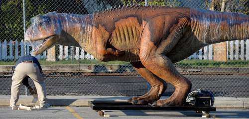 Al Hartmann  |  The Salt Lake Tribune 
Watch out! There's a Carnotaurus behind you. Hogle Zoo personnel unloaded 14 life-size "animatronic" dinosaurs with lifts in the parking lot at Hogle Zoo Monday April 20, 2015. They will be set up throughout the zoo and displayed starting May 1 in the Zoorassic Park 2 exhibit.