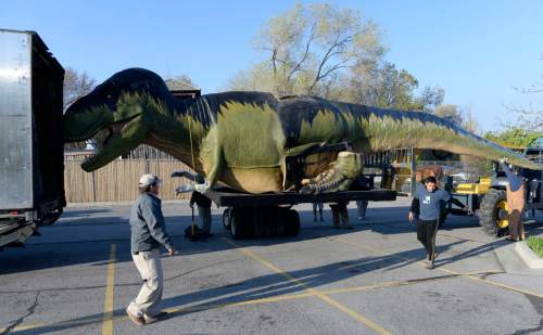 Al Hartmann  |  The Salt Lake Tribune 
Hogle Zoo staff carefully ease a Tyrannosaurus Rex from a semi trailer in the parking lot Monday April 20, 2015. Fourteen life-size "animatronic" dinosaurs arrived and will be set up throughout the zoo and displayed starting May 1 in the Zoorassic Park 2 exhibit.