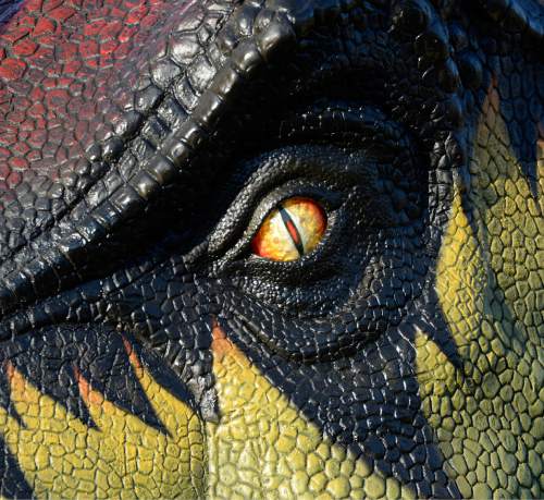 Al Hartmann  |  The Salt Lake Tribune 
Intricate detail of the eye of an animatronic Tyrannosaurus Rex.  Fourteen life-size "animatronic" dinosaurs arrived at Hogle Zoo Monday April 20, 2015. They will be set up throughout the zoo and displayed starting May 1 in the Zoorassic Park 2 exhibit.