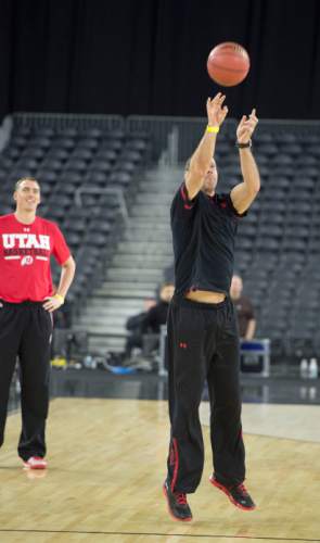 Steve Griffin  |  The Salt Lake Tribune

University of Utah head coach Larry Krystkowiak fires a half court shot with his team during practice on the NRG Stadium court prior to their 2015 NCAA Men's Basketball Championship Regional Semifinal game against Duke in Houston, Thursday, March 26, 2015.