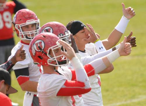 Leah Hogsten  |  The Salt Lake Tribune
Kendal Thompson (right, helmetless) signals the play with Utah's other quarterbacks during an April 2, 2015 practice. Thompson has been credited by teammates for his attention to detail even as he is sidelined while recovering from an ACL injury.
