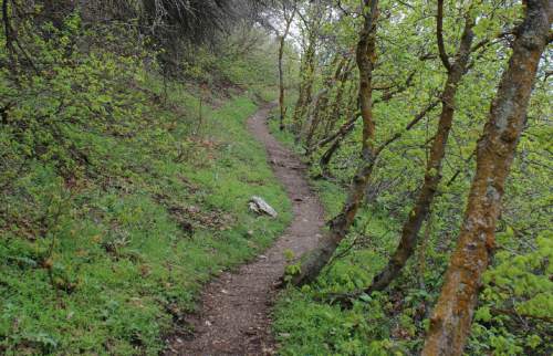 Michael McFall  |  The Salt Lake Tribune

Parrish Canyon Trail in Centerville.