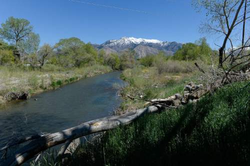 Francisco Kjolseth  |  The Salt Lake Tribune 
Quiet open areas along the Weber River will become a bookend feature of a new business park planned for the grounds of the former Ogden Stockyards.