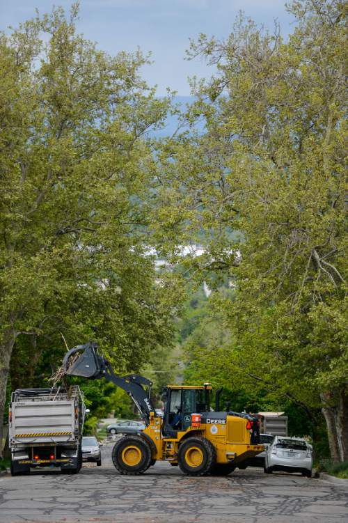 Francisco Kjolseth  |  The Salt Lake Tribune 
Salt Lake City crews work the Avenues neighborhood on Tuesday, May 5, 2015, as part of the spring neighborhood cleanup.