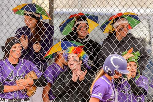 Trent Nelson  |  The Salt Lake Tribune
Lehi players cheer on their team during a 5A softball tournament second-round game between defending champion Lehi and No. 1 seed Taylorsville, Thursday May 14, 2015.