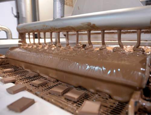 Al Hartmann |  The Salt Lake Tribune
An enrober machine coats chocolates to make Mindy Mint Truffles at Mrs. Cavanaugh's Chocolates factory in North Salt Lake.  According to sales statistics from Hershey's Co., Utahns purchase more confections -- candy, mints and gum, than any region in the nation.