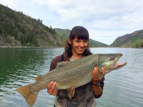 Porcupine Reservoir Spring Survey 30 Inch Brown Trout And