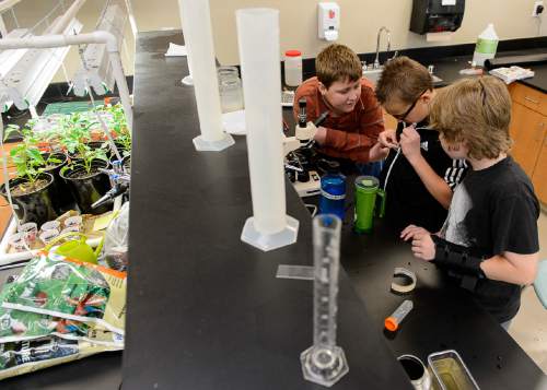 Trent Nelson  |  The Salt Lake Tribune
Andrew Christensen, Nick Bowman, and Scott Gasparac monitor a science experiment at the Salt Lake Center for Science Education in Salt Lake City, Tuesday May 19, 2015.
