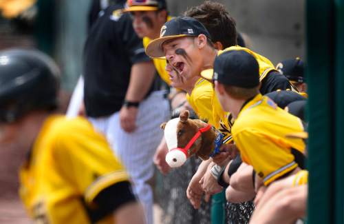 Scott Sommerdorf   |  The Salt Lake Tribune
Cottonwood players yell to their team mates from the dugout while holding a horse on a stick during the early innings versus Pleasant Grove. Pleasant Grove defeated Cottonwood 3-2 to win the winner's bracket final at UVU, Thursday, May 21, 2015.