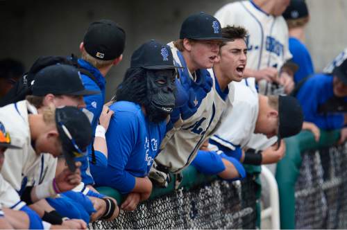 Scott Sommerdorf   |  The Salt Lake Tribune
Pleasant Grove players including one wearing a gorilla mask, yell encouragement to their team as Pleasant Grove defeated Cottonwood 3-2 to win the winner's bracket final at UVU, Thursday, May 21, 2015.