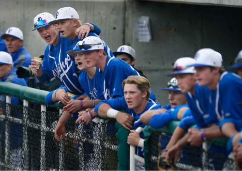 Scott Sommerdorf   |  The Salt Lake Tribune
The Pleasant Grove dugout yells during a big 4-run rally in the fifth. Pleasant Grove defeated Bingham 6-2 to win the Utah 5A title, Thursday, May 21, 2015.