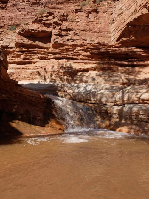 Nate Carlisle  |  The Salt Lake Tribune

A small waterfall sits in Sulphur Creek near the visitors center at Capitol Reef National Park.
