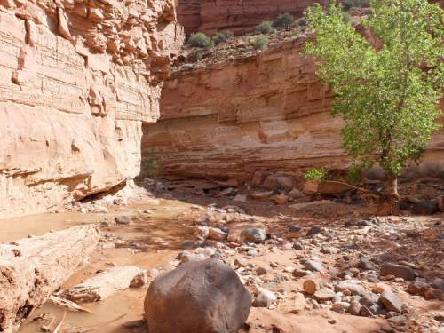 Nate Carlisle  |  The Salt Lake Tribune

A small waterfall sits in Sulphur Creek near the visitors center at Capitol Reef National Park.