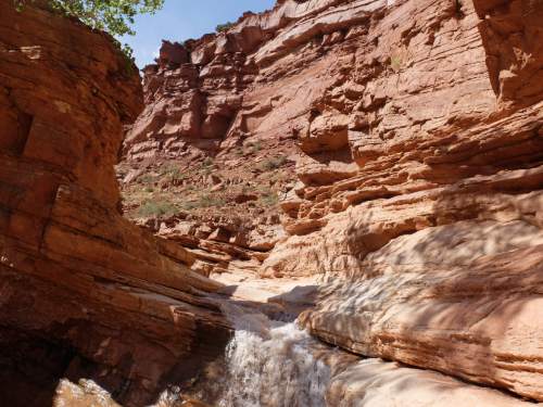 Nate Carlisle  |  The Salt Lake Tribune

A small waterfall sits in Sulphur Creek near the visitors center at Capitol Reef National Park.