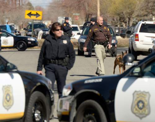 Al Hartmann  |  The Salt Lake Tribune
Salt Lake City police search a neighborhood near 1400 West  and 950 South on  Feb. 24, 2015.