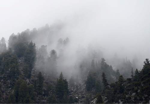 Al Hartmann |  The Salt Lake Tribune
Rain clouds and mist hover over the mountain peaks in Little Cottonwood Canyon, Tuesday May 26, 2015.