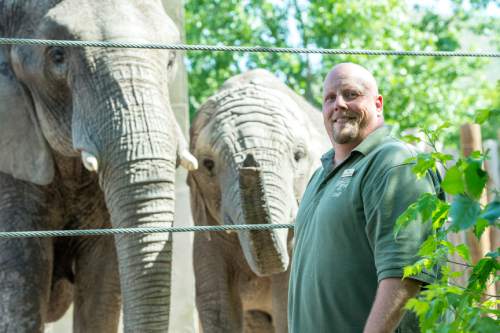 Chris Detrick  |  The Salt Lake Tribune
Elephant Manager Eric Peterson poses for a portrait with Christie and Zuri at Utah's Hogle Zoo Wednesday June 3, 2015.