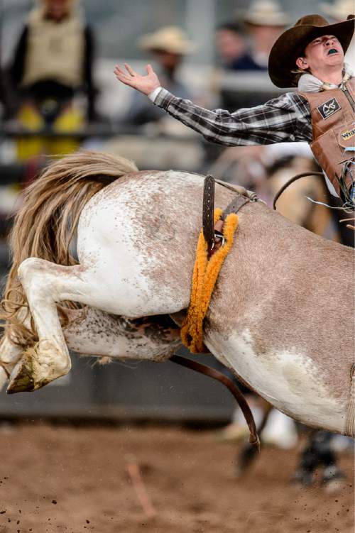 Trent Nelson  |  The Salt Lake Tribune
Dillon Jacobs competes in Bareback at the Utah High School Rodeo Association state championships in Heber, Saturday June 6, 2015.