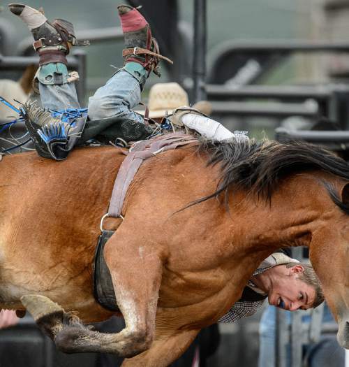 Trent Nelson  |  The Salt Lake Tribune
Austin Thomas competes in Bareback at the Utah High School Rodeo Association state championships in Heber, Saturday June 6, 2015.