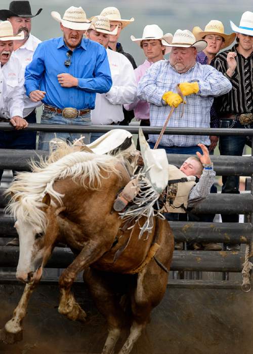 Trent Nelson  |  The Salt Lake Tribune
Wyatt Johnson comes out of the chute in Bareback competition at the Utah High School Rodeo Association state championships in Heber, Saturday June 6, 2015.