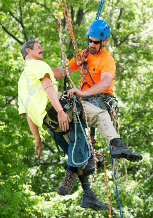 Rick Egan  |  The Salt Lake Tribune

Caleb O'Brien, Syracuse, competes in the aerial rescue event at the 22nd Annual Utah Tree Climbing Championship at Lester Park in Ogden, Friday, June 5, 2015. The competition continues Saturday. The winner will represent Utah at the 2016 International Tree Climb Competition in San Antonio, Texas.