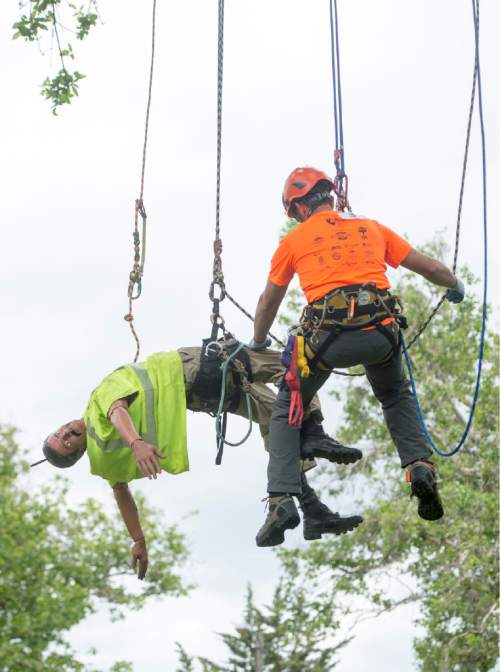 Rick Egan  |  The Salt Lake Tribune

Brian Christensen competes in the aerial rescue event at the 22nd Annual Utah Tree Climbing Championship at Lester Park in Ogden, Friday, June 5, 2015. The competition continues Saturday. The winner will represent Utah at the 2016 International Tree Climb Competition in San Antonio, Texas.