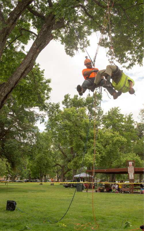 Rick Egan  |  The Salt Lake Tribune

Blake Wright of Salt Lake competes in the aerial rescue event at the 22nd Annual Utah Tree Climbing Championship at Lester Park in Ogden, Friday, June 5, 2015. The competition continues Saturday. The winner will represent Utah at the 2016 International Tree Climb Competition in San Antonio, Texas.