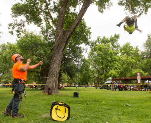 Rick Egan  |  The Salt Lake Tribune

Blake Wright of Salt Lake tosses his rope over a branch as he competes in the aerial rescue event at the 22nd Annual Utah Tree Climbing Championship at Lester Park in Ogden, Friday, June 5, 2015. The competition continues Saturday. The winner will represent Utah at the 2016 International Tree Climb Competition in San Antonio, Texas.