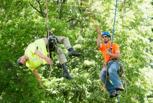 Rick Egan  |  The Salt Lake Tribune

Caleb O'Brien, Syracuse, competes in the aerial rescue event at the 22nd Annual Utah Tree Climbing Championship at Lester Park in Ogden, Friday, June 5, 2015. The competition continues Saturday. The winner will represent Utah at the 2016 International Tree Climb Competition in San Antonio, Texas.