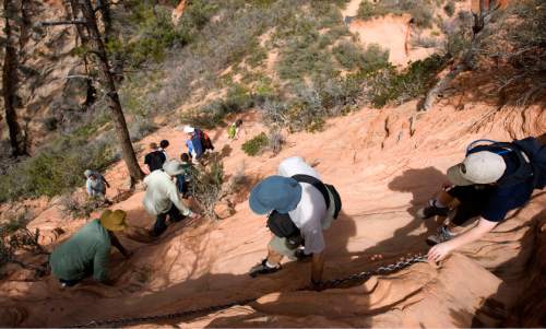 Al Hartmann  |  Tribune file photo 
Hikers carefully pick their way down the Angels Landing Trail in Zion National Park. It's one of the premier hikes in the park which takes the hiker up and a steep rock spine that climbs to a magnificent view of the Virgin River and Zion Canyon below.  The hikes is not for those with fear of heights.  An anchor chain is embedded in the rock in steep places along the trail that hikers can grab onto for safety.