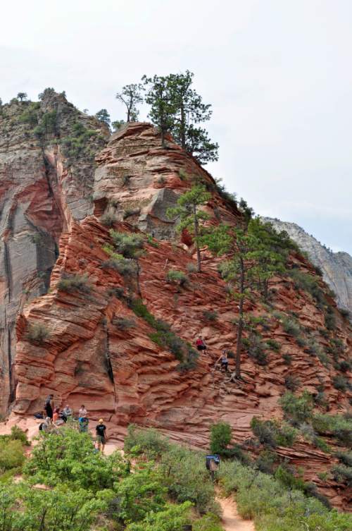Erin Alberty  |  The Salt Lake Tribune
Hikers approach the knife-edge ridge that leads to Angels Landing.