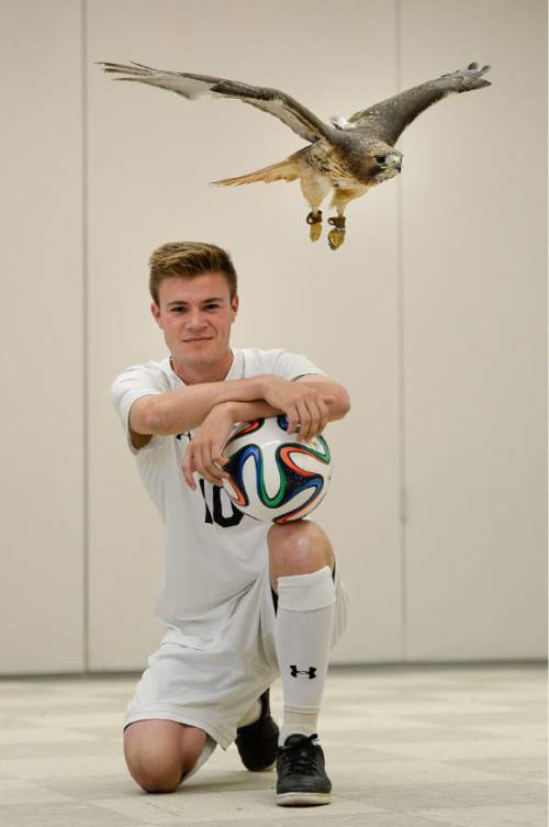 Francisco Kjolseth  |  The Salt Lake Tribune
Prep soccer's most valuable player Christian Bain from Alta, where the school mascot is a hawk, gets buzzed by Storm, a red tailed hawk courtesy of the Tracy Aviary.