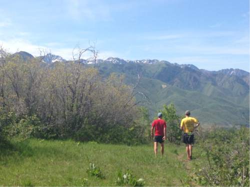 Erin Alberty  |  The Salt Lake Tribune

Two trail runners head down the main trail toward the trailhead.