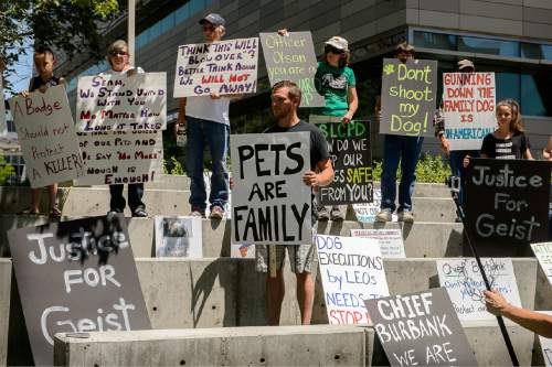 Trent Nelson  |  The Salt Lake Tribune
About twenty people and a few pets rally outside Salt Lake City police headquarters , Thursday June 18, 2015, sympathizing with dog owner Sean Kendall, center, and calling for accountability from the department and the officer who fatally shot Kendall's Weimaraner one year ago.