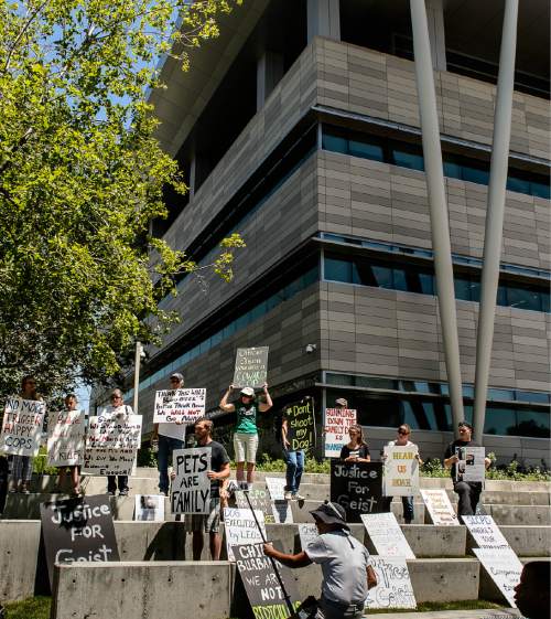 Trent Nelson  |  The Salt Lake Tribune
About twenty people and a few pets rally outside Salt Lake City police headquarters , Thursday June 18, 2015, sympathizing with dog owner Sean Kendall and calling for accountability from the department and the officer who fatally shot Kendall's Weimaraner one year ago.