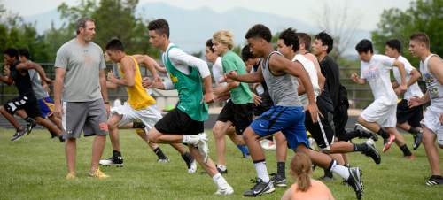 Al Hartmann |  The Salt Lake Tribune
Ogden High School football coach Kent Taylor pushes his players in wind sprints during a summer conditioning workout Thursday June 11, 2015.  The team belongs in Class 4A purely by enrollment numbers, but the football program argued during recent UHSAA realignment meetings that, based on a historic lack of competitiveness, it should be dropped down a classification or two to allow the program to rebuild.