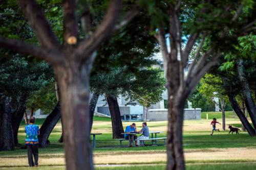 Chris Detrick  |  The Salt Lake Tribune
People enjoy Valley Regional Park Thursday July 2, 2015.   Valley Regional Park is being named after Gary Swensen, a longtime County Parks and Recreation boss who developed this facility and many other parks in the county.