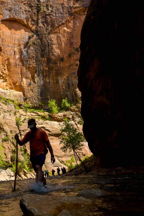 Trent Nelson  |  The Salt Lake Tribune
Hikers in the Narrows, Zion National Park, Wednesday May 6, 2015.