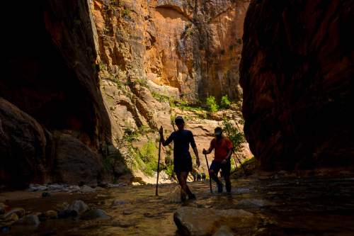 Trent Nelson  |  The Salt Lake Tribune
Hikers in the Narrows, Zion National Park, Wednesday May 6, 2015.