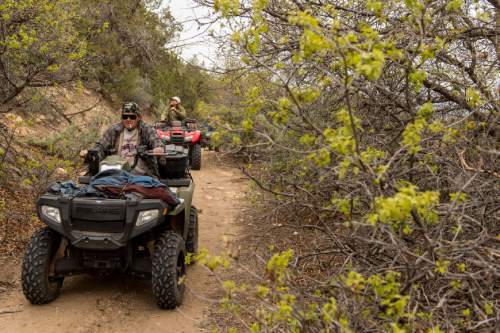 Trent Nelson  |  The Salt Lake Tribune
Motorized vehicles make their way through Recapture Canyon, which has been closed to motorized use since 2007, after a call to action by San Juan County Commissioner Phil Lyman. Saturday May 10, 2014 north of Blanding.