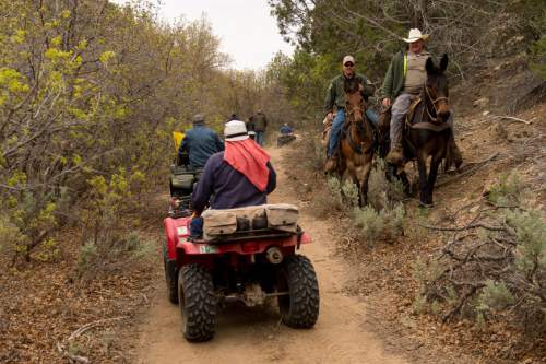Trent Nelson  |  The Salt Lake Tribune
Mounted sheriff's deputies move off the trail as ATV riders make their way into Recapture Canyon, which has been closed to motorized use since 2007. The ATV protest ride on Saturday, May 10, 2014, north of Blanding, came after a call-to-action by San Juan County Commissioner Phil Lyman.