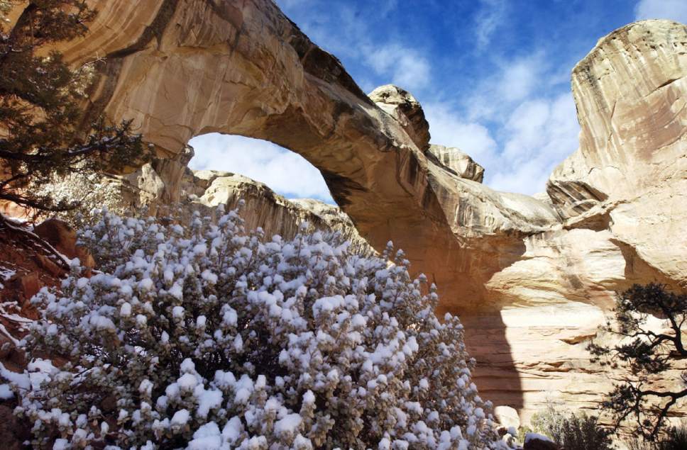 Danny Chan La  |  Tribune File Photo

Hickman Arch at Capitol Reef with snow cover. Attendance to the park is lower in the winter time but there are still many things to be seen.
Utah Dec-2003