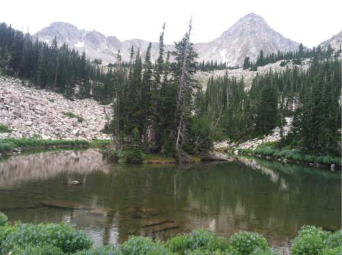 Nate Carlisle  |  The Salt Lake Tribune

Maybird Lake, as seen here July 4, 2015, sits at the end of a 4.3-mile trail in Little Cottonwood Canyon. The elevation is 9.742 feet.