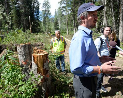 Al Hartmann  |  The Salt Lake Tribune
Salt Lake County Township Executive Patrick Leary holds a press conference where nearly 100, (some old growth trees) that were cut illegally by a developer at the Silver Hills subdivision in Big Cottonwood Canyon on July 20.   County compliance officers and surveyors were sent in Thursday July 23 to assess the damage to determine a course of action to hold the responsible party accountable.