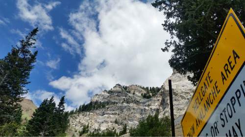 Lennie Mahler  |  The Salt Lake Tribune

The Hellgate Cliffs area, pictured, of Little Cottonwood Canyon, Thursday, July 23, 2015. Climbers found a boot containing skeletal remains of a foot, which could have been on the cliffside for two to three years.