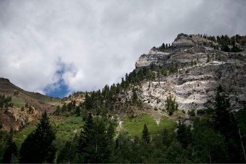 Lennie Mahler  |  The Salt Lake Tribune

The Hellgate Cliffs area, pictured, of Little Cottonwood Canyon, Thursday, July 23, 2015. Climbers found a boot containing skeletal remains of a foot, which could have been on the cliffside for two to three years.