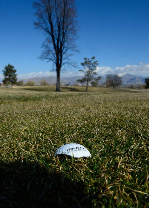 Scott Sommerdorf   |  The Salt Lake Tribune
This shredded golf ball might symbolize the future of golf at Glendale Golf Course, Sunday, February 15, 2015.