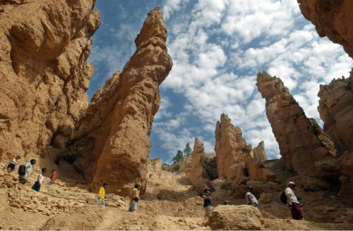 | Tribune File Photo

Hikers are dwarfed by the tall red spires as they descend the the Wall Street section on the Navajo Loop Trail, the most popular trail in Bryce National Park.